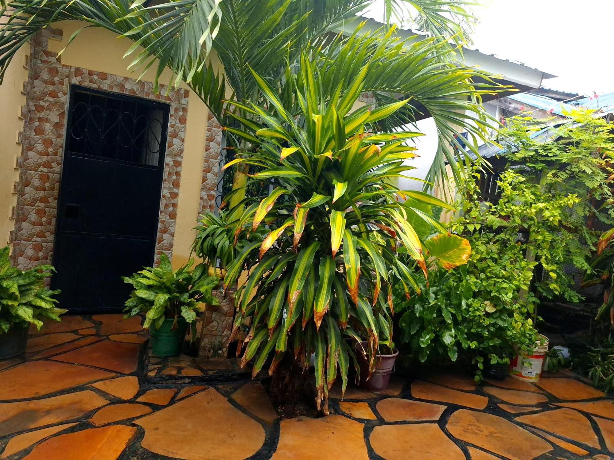 Mount Zion Guest House, Mtwapa Mtomondoni Момбаса Экстерьер фото